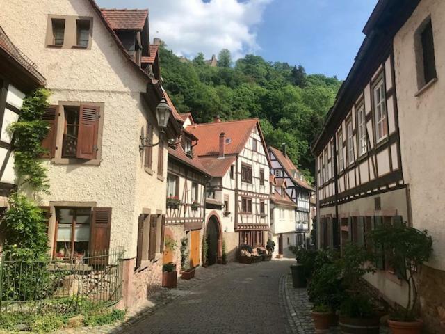 Апартаменты Buedinger Hof Вайнхайм Экстерьер фото